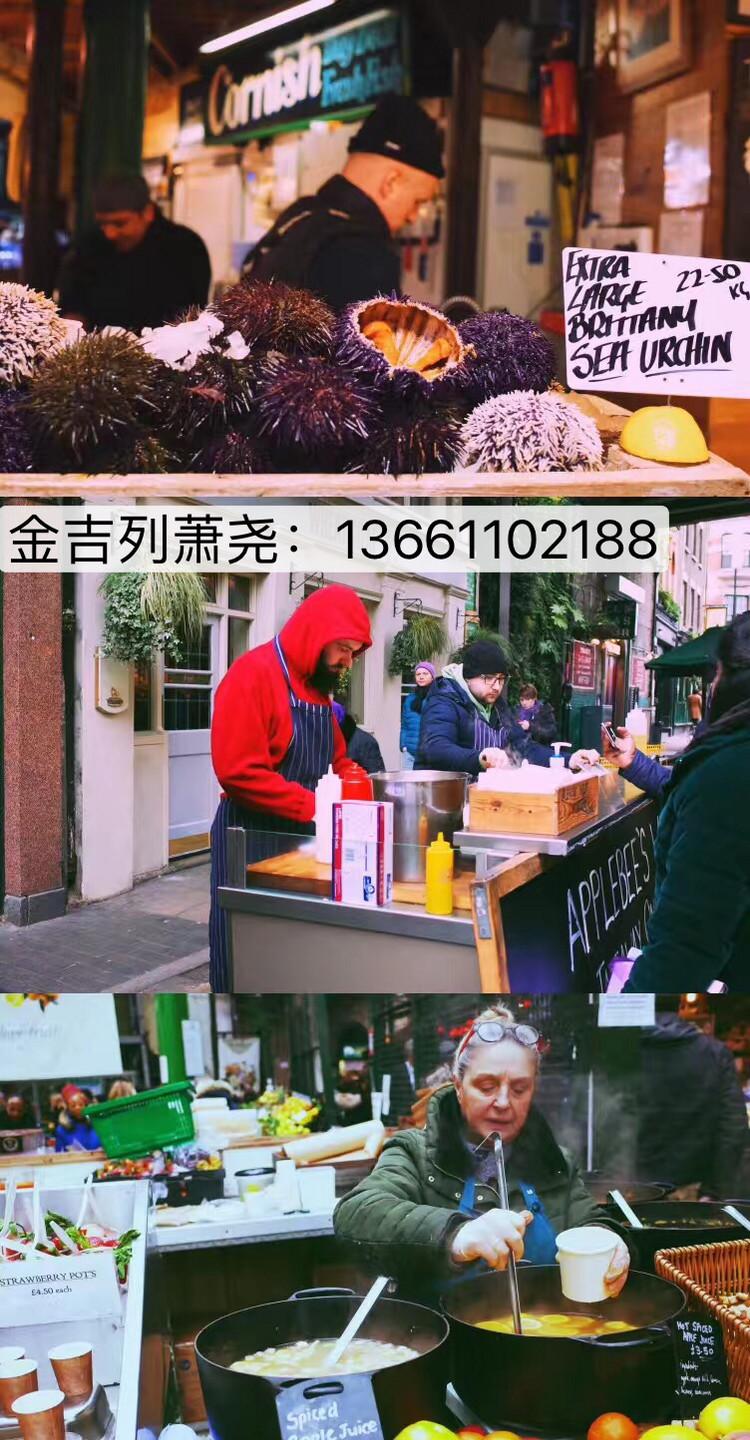 从伦敦到北极，从东京到巴黎