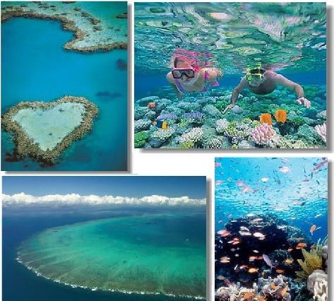 去澳洲必备常识