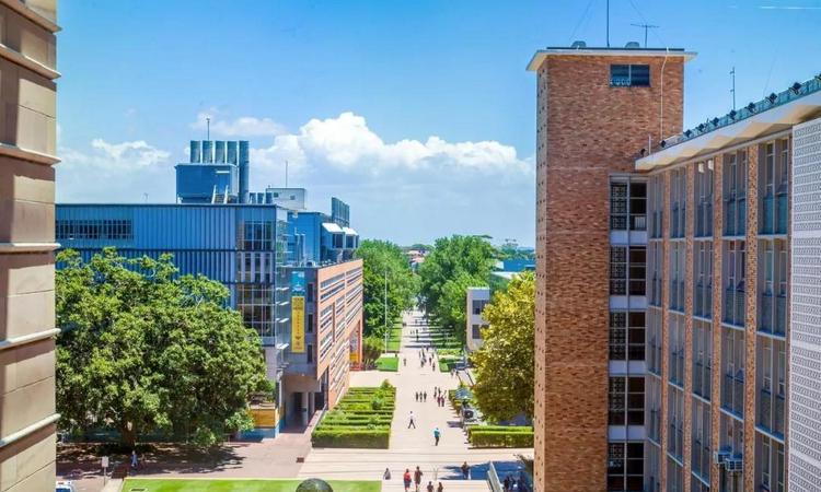 新南威尔士大学丨国际大一文凭课程上线啦！