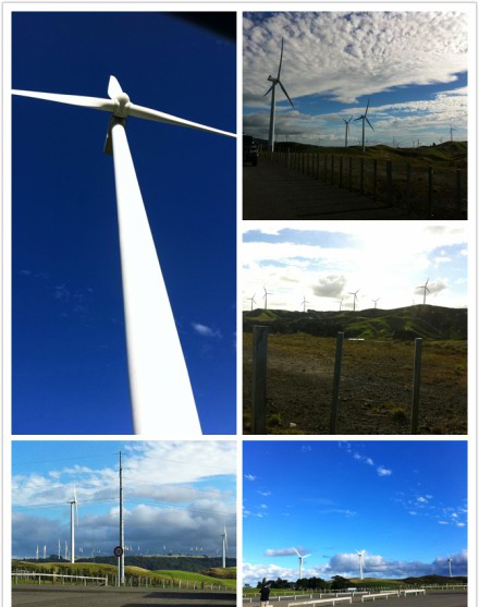 新西兰入境须知！！！