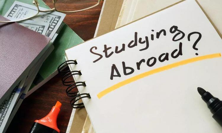 高考留学双保险 | 进可攻,退可守! 高考留学双保险 | 进可攻,退可守!