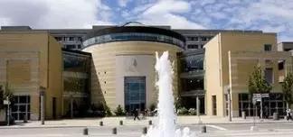 加拿大的顶尖金融专业