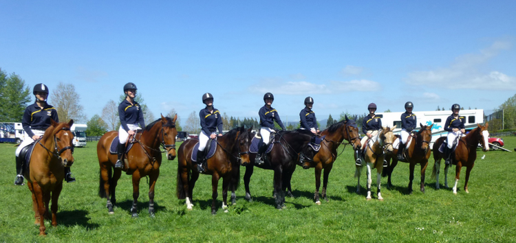 希尔克雷斯特高中——汉密尔顿市的不二之选