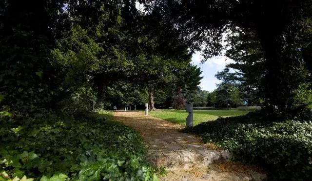 UCD八公里林荫道——与你浪漫邂逅