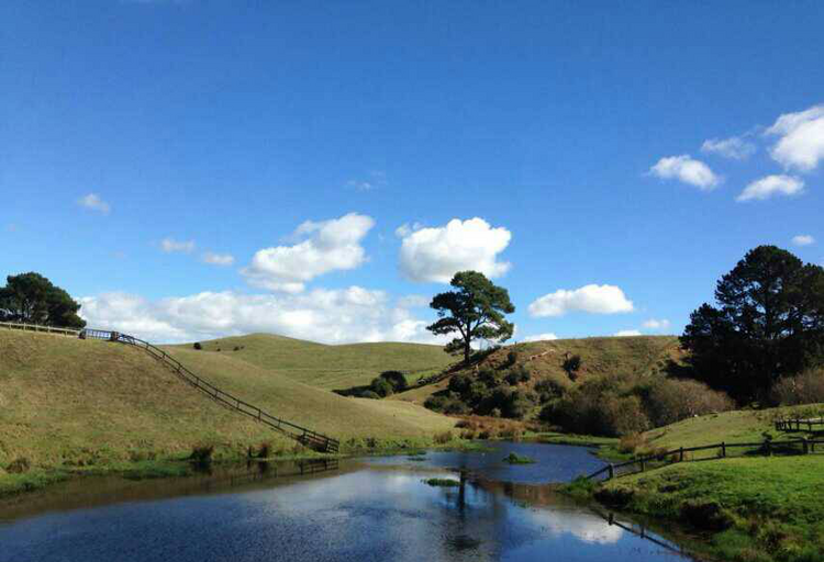 新西兰设计专业成功案例 新西兰设计专业成功案例