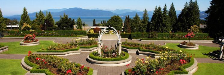 UBC大学本科双录取案例分析