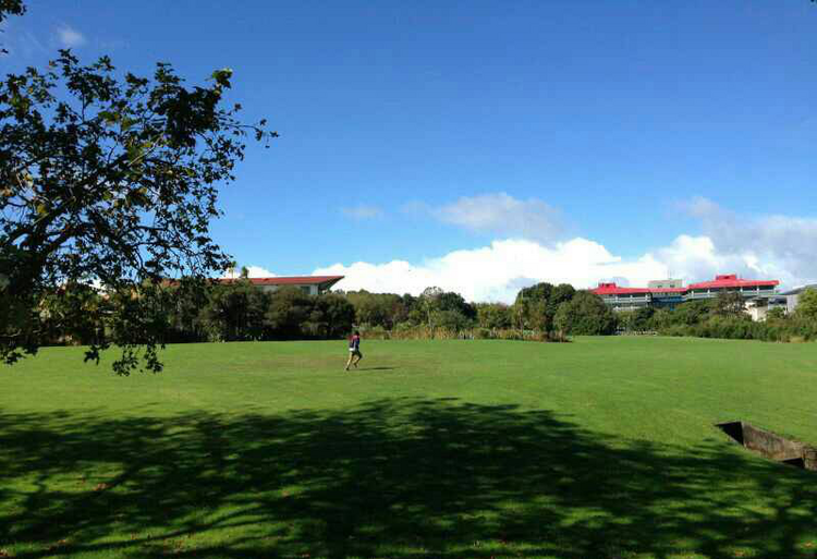 新西兰设计专业成功案例 新西兰设计专业成功案例