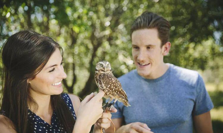 走近一点，仿佛进入一个爱丽丝世界的童话仙境