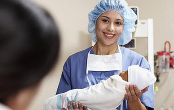 新西兰留学不可不学的热门专业