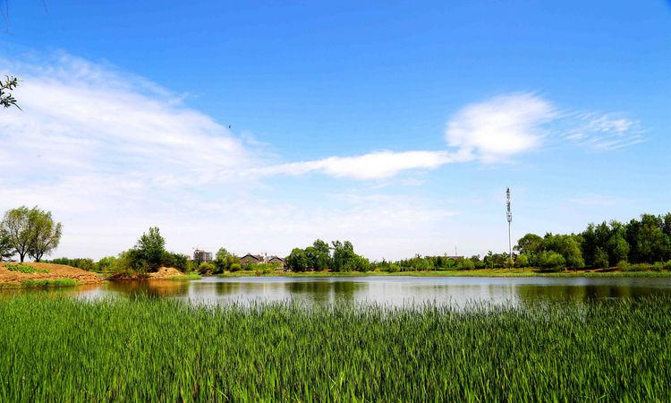 加拿大英法双语大学之劳伦森大学