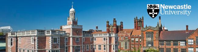 英国纽卡斯尔大学王牌专业&mdash;&mdash;翻译