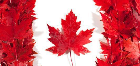 加拿大大使馆对于即将实行的在中国区的学习许可的相关政策解析