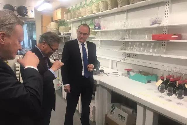 南澳新成立葡萄酒研究中心,推进红酒专业发展 南澳新成立葡萄酒研究中心,推进红酒专业发展