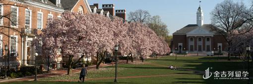 约翰霍普金斯金融案例分享 约翰霍普金斯金融案例分享