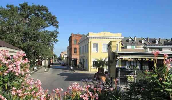 加拿大三月樱花节