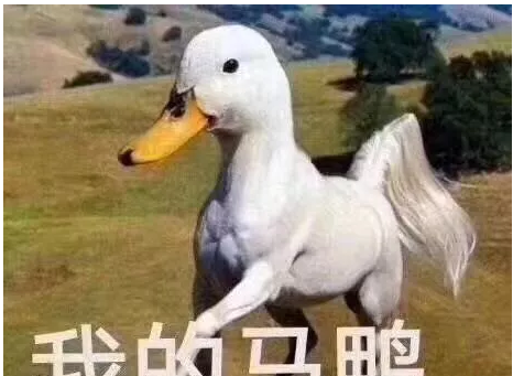 如何尽快适应英式课堂,好好学习,天天向上? 如何尽快适应英式课堂,好好学习,天天向上?