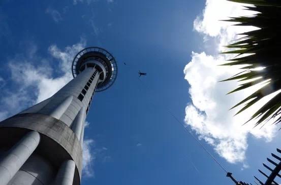 你适合读博士吗？戳我的答案呀