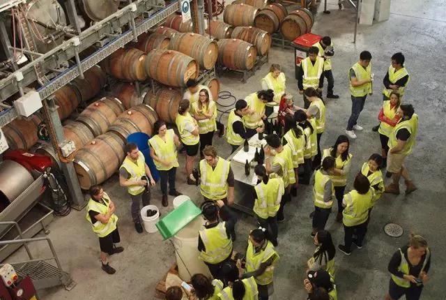 南澳新成立葡萄酒研究中心，推进红酒专业发展