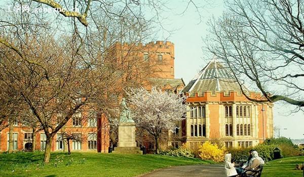 文科教育学专业浅析