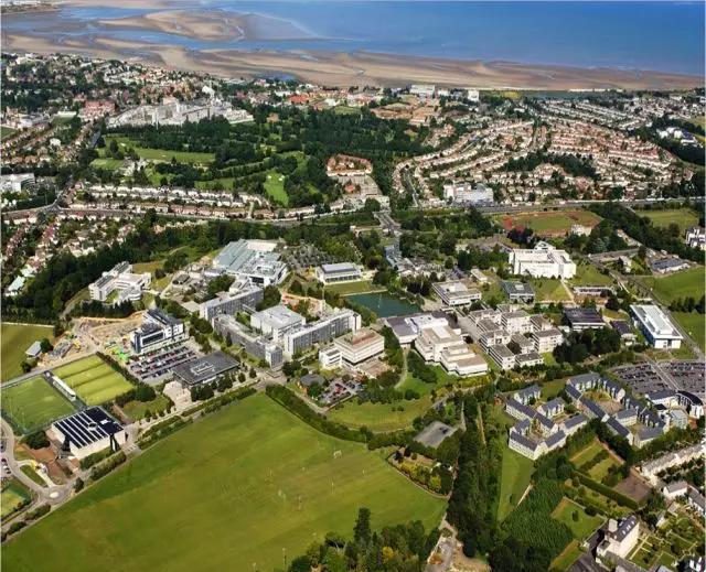 UCD八公里林荫道——与你浪漫邂逅