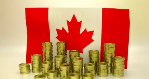 加拿大大学VS学院差距这么大！还好我们见识多