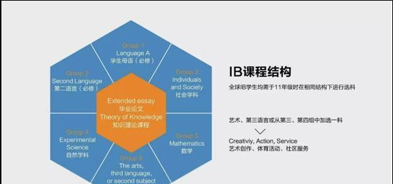 何为AP课程，何为IB课程?