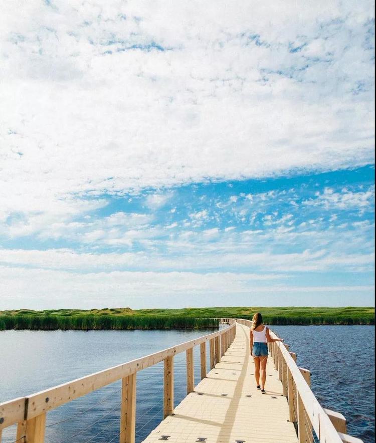 虽然我年轻，但我也有故事