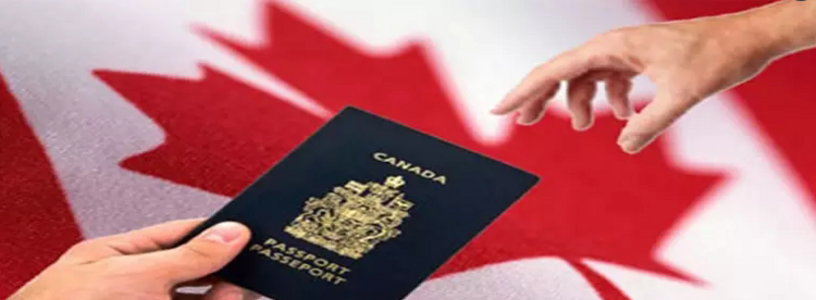 为什么年轻的留学生更喜欢选择加拿大？