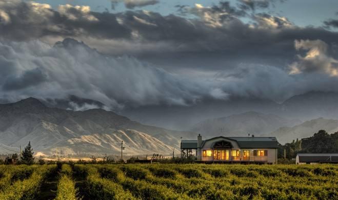 同学，干了这杯葡萄酒！