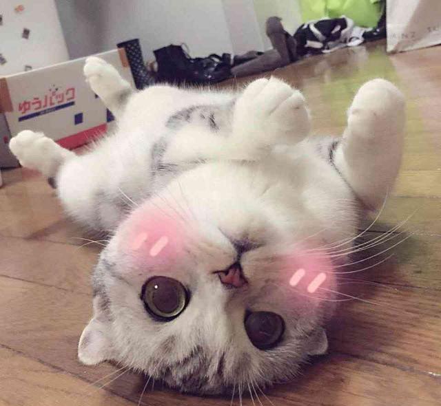 澳洲留学的三大新宠专业 澳洲留学的三大新宠专业