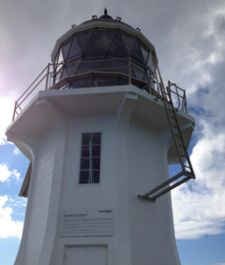 新西兰入境须知！！！