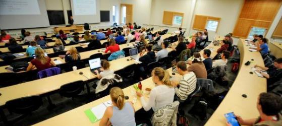 约克大学房地产专业解析