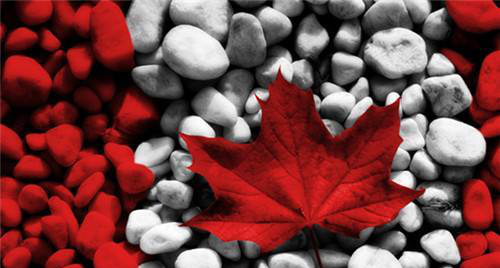 加拿大性价比到底有多高？