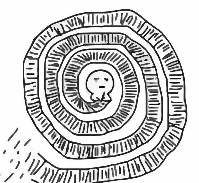 如果融入美国生活