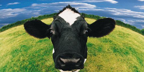 新西兰公立中学和私立中学的区别 新西兰公立中学和私立中学的区别