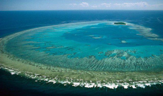 环境科学与环境工程对比