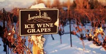 08年加拿大留学个阶段学费普遍上涨 李东老师