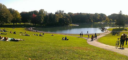 加拿大热门专业