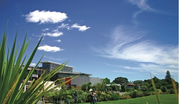 Unitec会计、金融专业 Unitec会计、金融专业