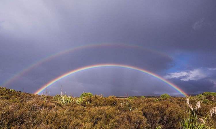 新西兰冷知识分享 新西兰冷知识分享