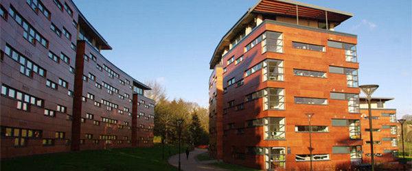 英国留学 最安全的住宿方式是什么？