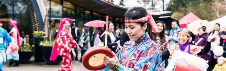 加拿大三月樱花节