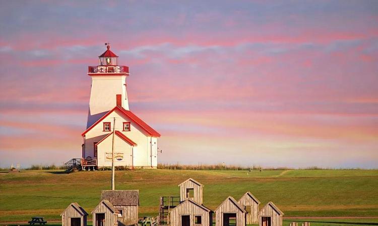 虽然我年轻，但我也有故事