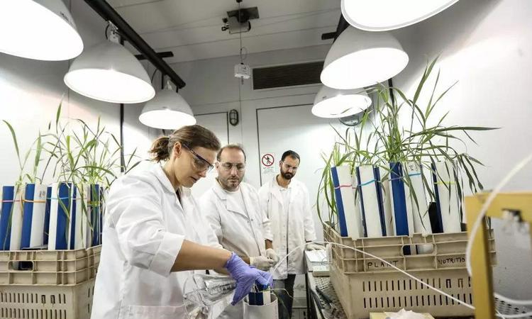 同学,全额奖学金有兴趣了解下吗? 同学,全额奖学金有兴趣了解下吗?