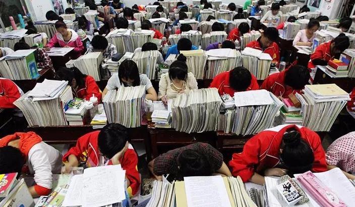 高考留学双保险 | 进可攻,退可守! 高考留学双保险 | 进可攻,退可守!