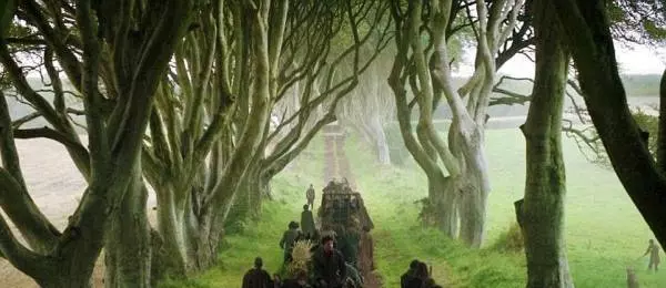 爱尔兰旅游局的新招数