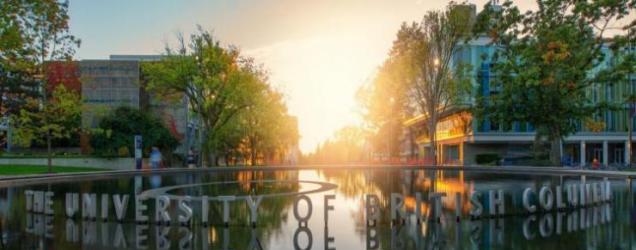 UBC大学本科双录取案例分析