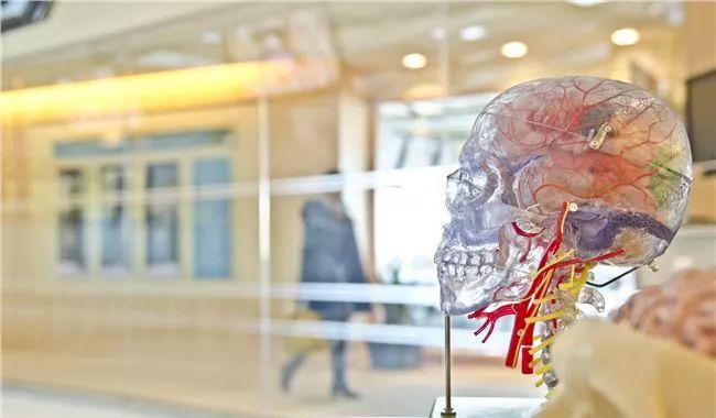 专业怎么选？推荐英国最受欢迎的大学专业TOP10