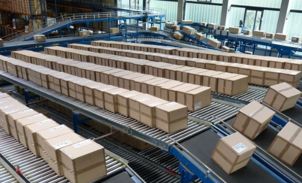 加拿大本科应该如何选择专业