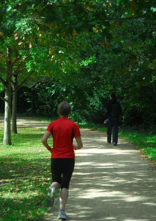 UCD八公里林荫道——与你浪漫邂逅